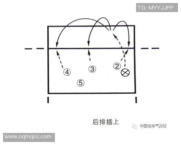 深圳排球队整体压制战术解析与实战应用探讨